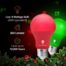 Christmas Lighting Bright Decorative Holiday Display 3