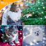 IP67 Waterproof Outdoor Christmas Lights cool white safe touch