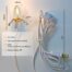 LED Light Bulbs Energy Efficient Solution 4