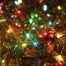 Multi-Colored Mini String Lights Holiday Lighting Solution lights