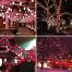 Upgraded Waterproof Christmas String Lights red white places